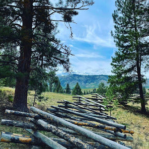 Meet your Posher, Shauna